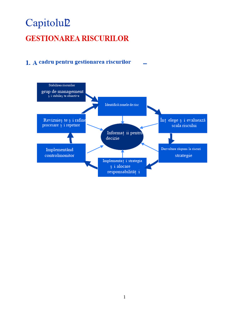 Managementul Riscurilor | PDF