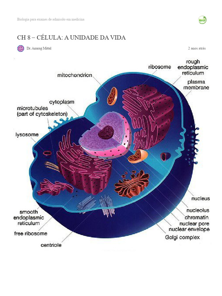 Célula: Unidade da Vida e Tipos Celulares | PDF | Célula (Biologia ...
