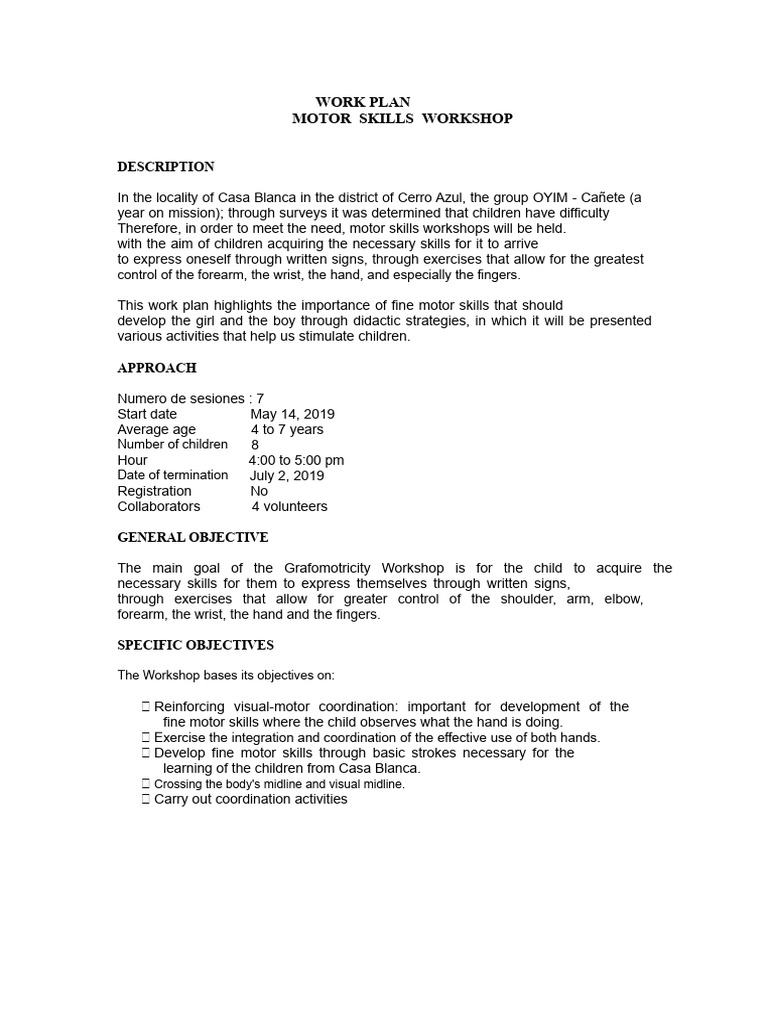 Work Plan Motor Skills Workshop | PDF | Hand