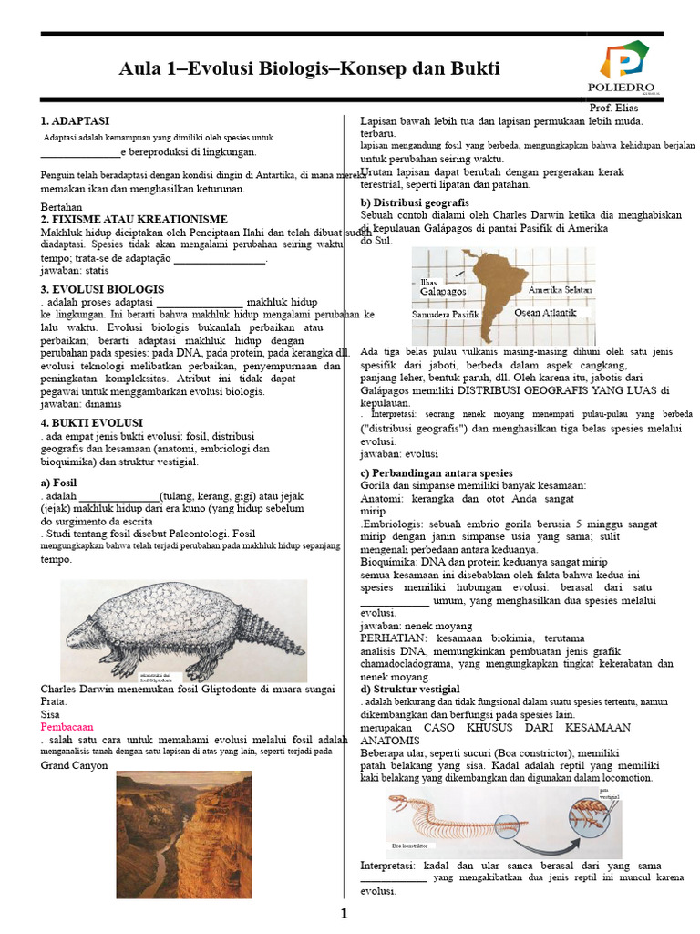 Kelas 01 - Evolusi Biologi…