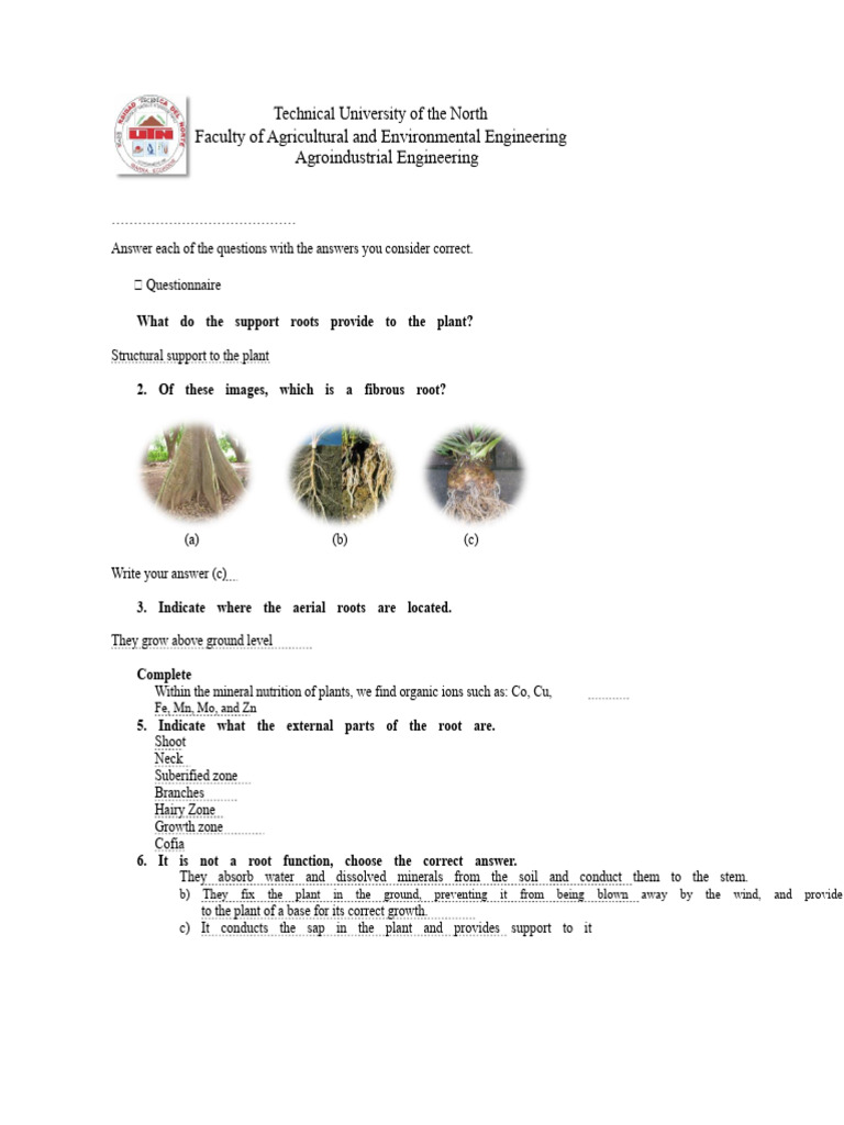 Bio Root Questionnaire | PDF | Root | Nutrients