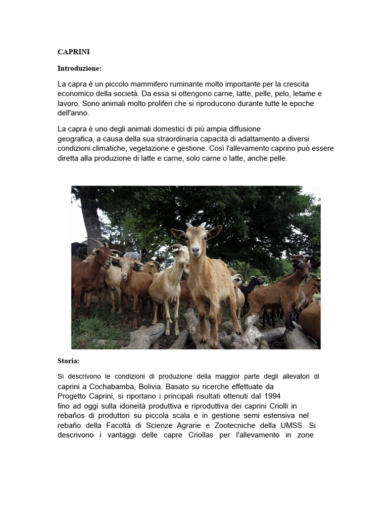 Caprini (Stampare) | PDF