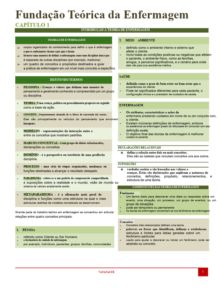 TFN Capítulo 1-3 Yyyy | PDF | Enfermagem | Teoria