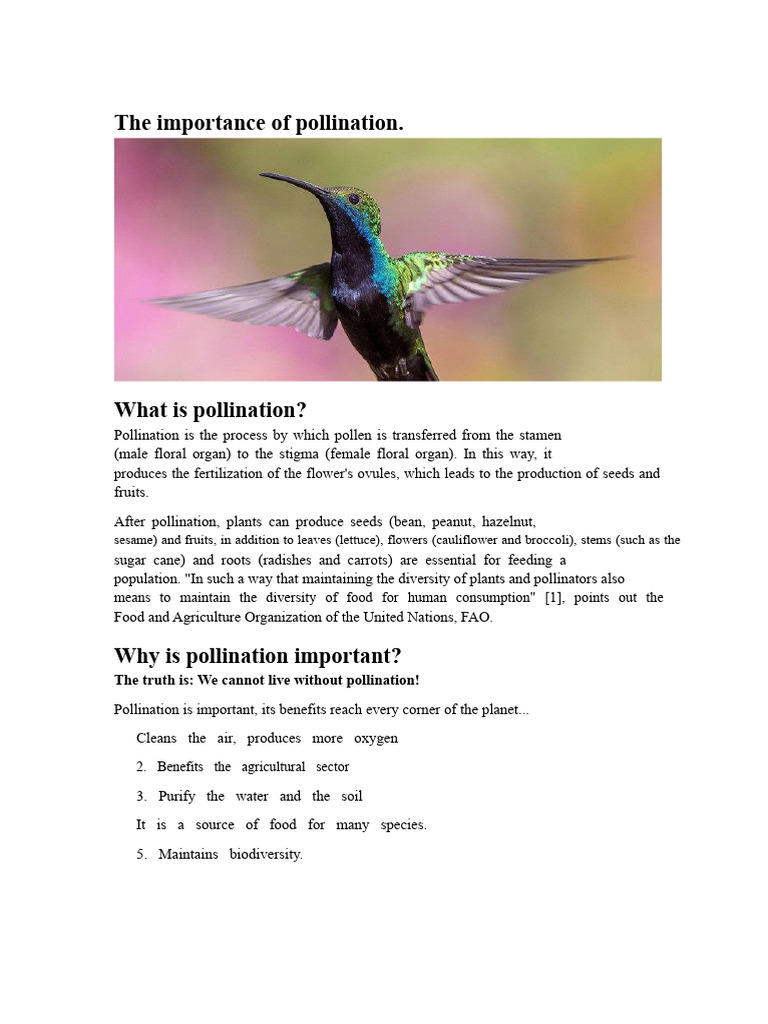 The Essential Role of Pollination | PDF | Pollination | Flowers