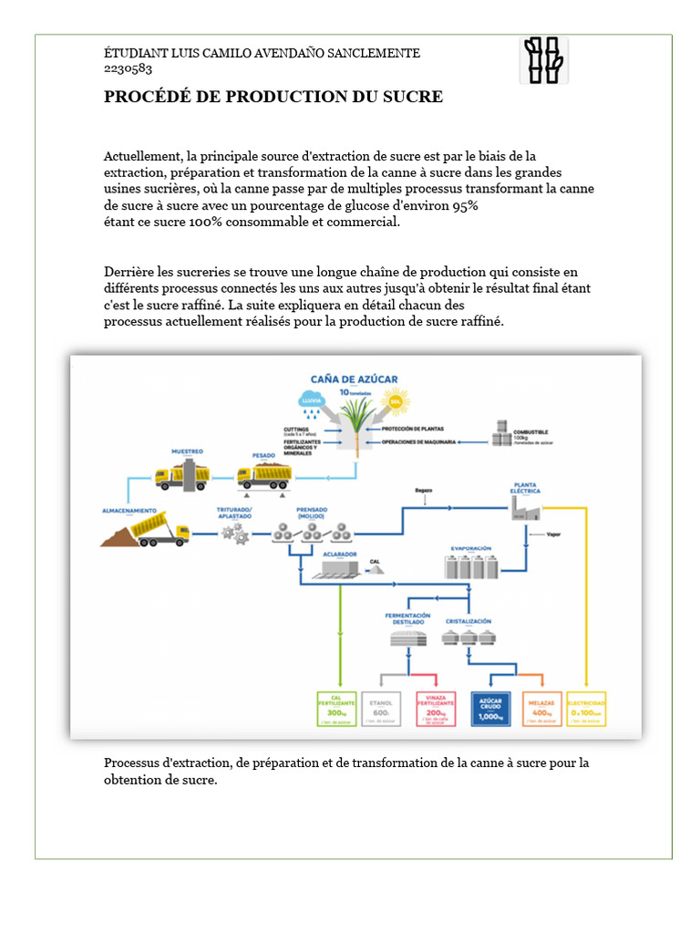 Processus de Fabrication Du Sucre PDF Canne à sucre Sucre — free download
