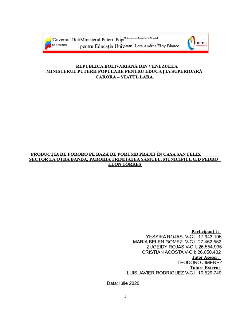 Proiectul Yeca - 16 Iulie | PDF