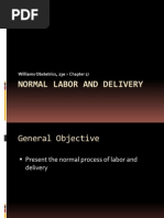 Normal Labor and Delivery