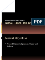 Normal Labor and Delivery