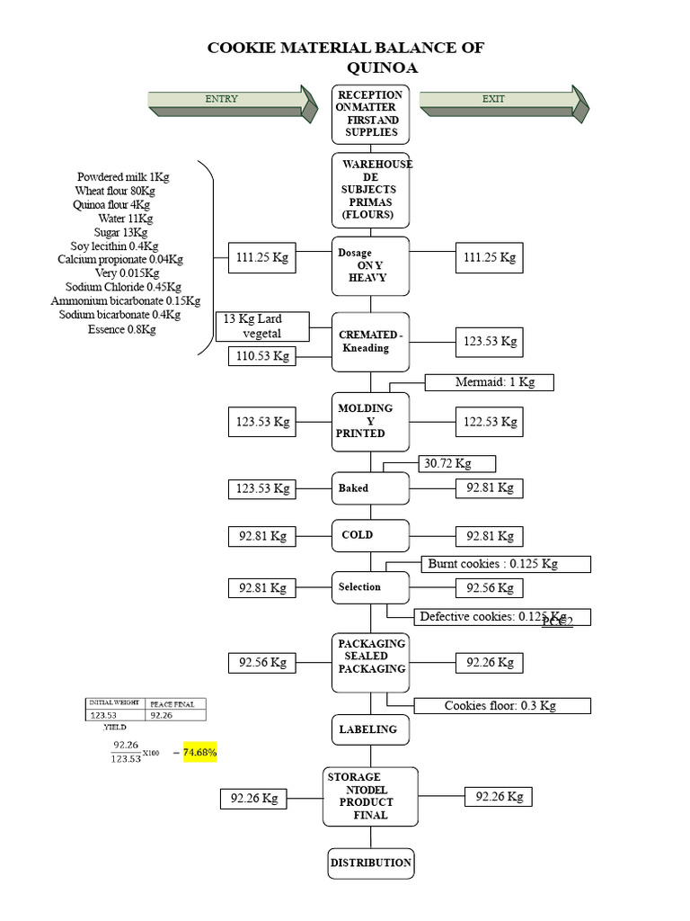 Material Balance | PDF