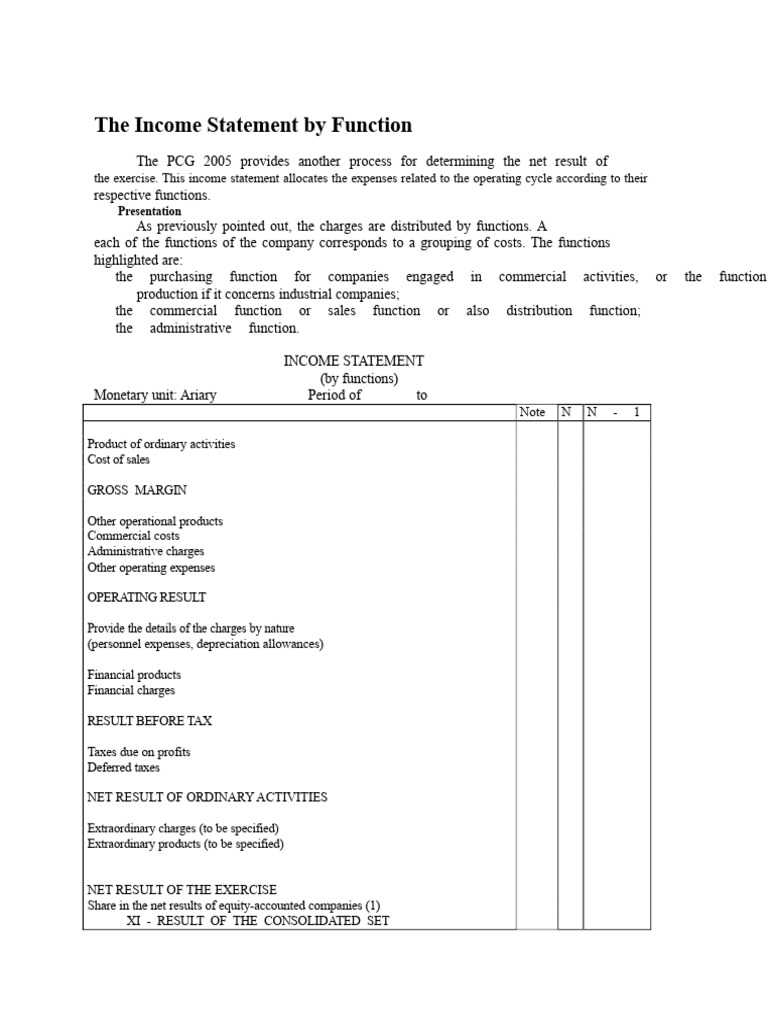 Income Statement by Function Overview | PDF | Cost Of Goods Sold ...