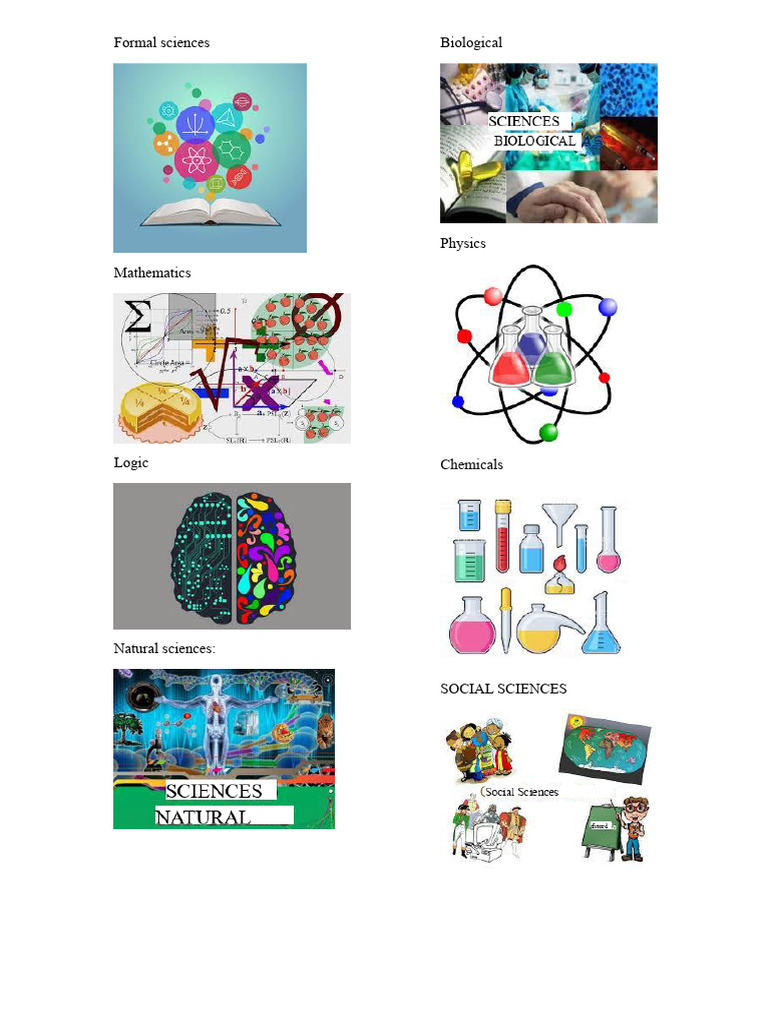 Overview of Science Disciplines | PDF