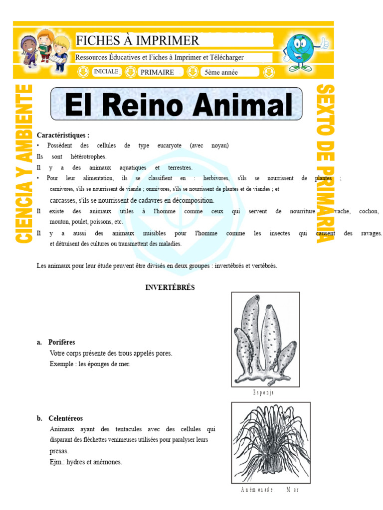 Classification des Animaux Eucaryotes | PDF | Zoologie | Biologie
