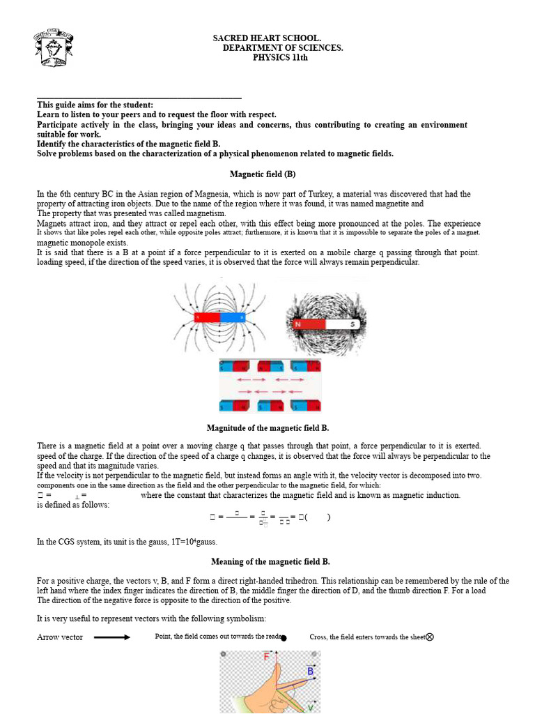 Understanding Magnetic Fields in Physics | PDF | Magnetic Field | Magnetism