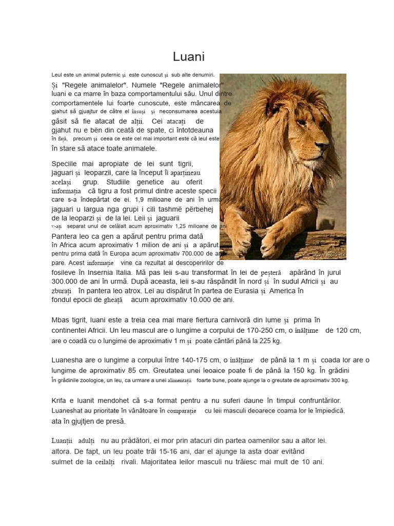 Leul | PDF
