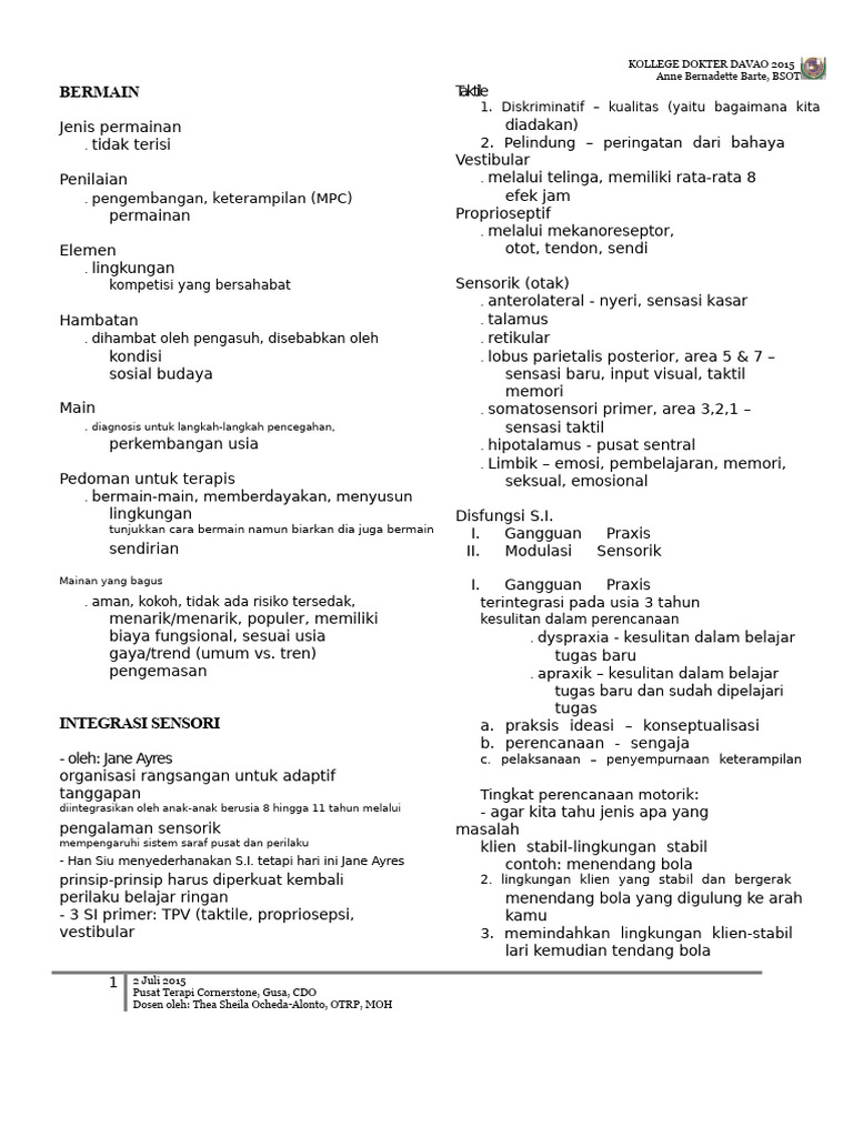 Terapi Okupasi - Bermain, SI Dan BMT | PDF