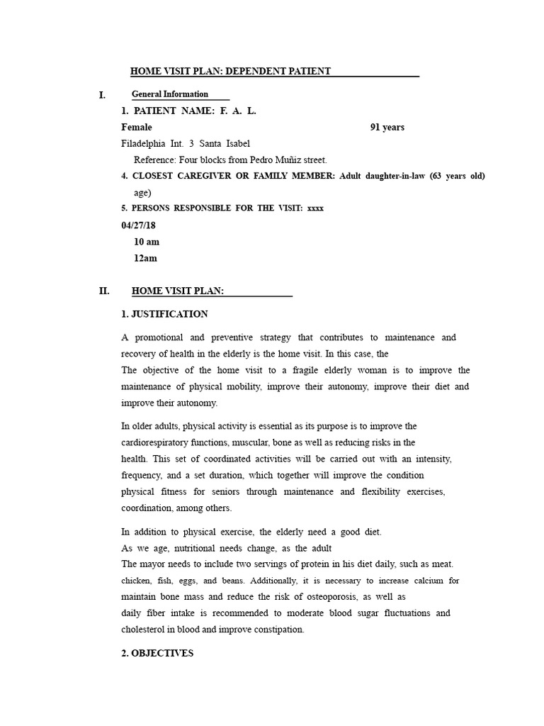 Home Visit Plan for Elderly Patient Care | PDF | Anatomical Terms Of ...