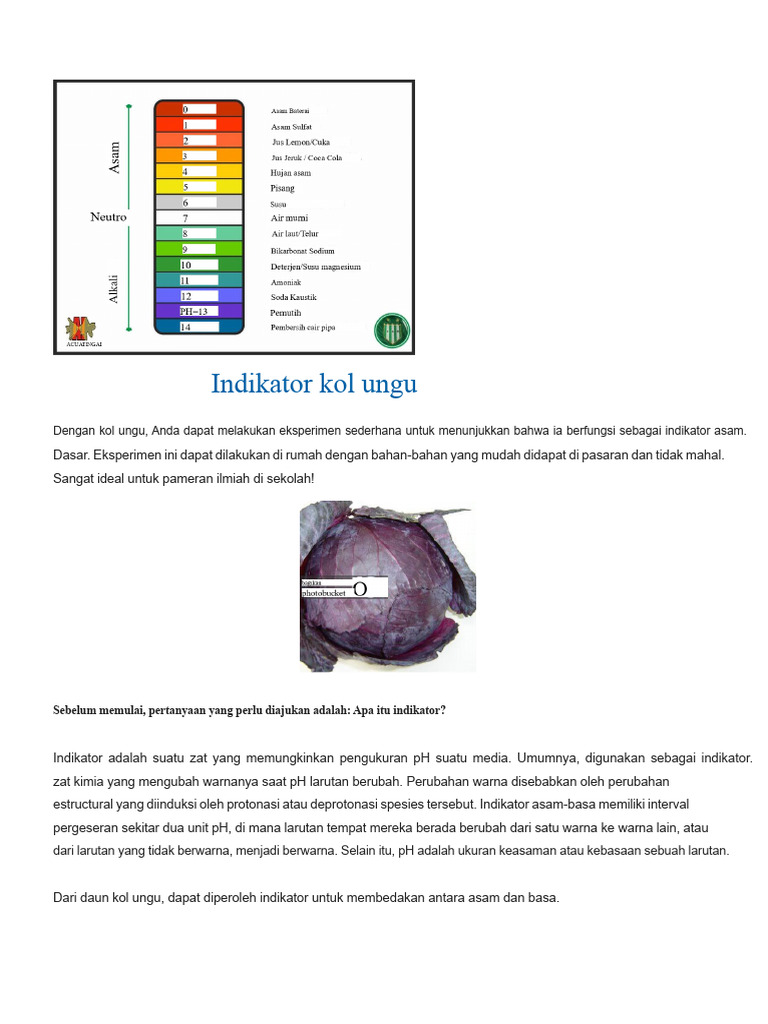 Indikator Asam-Basa dari Kol Ungu | PDF