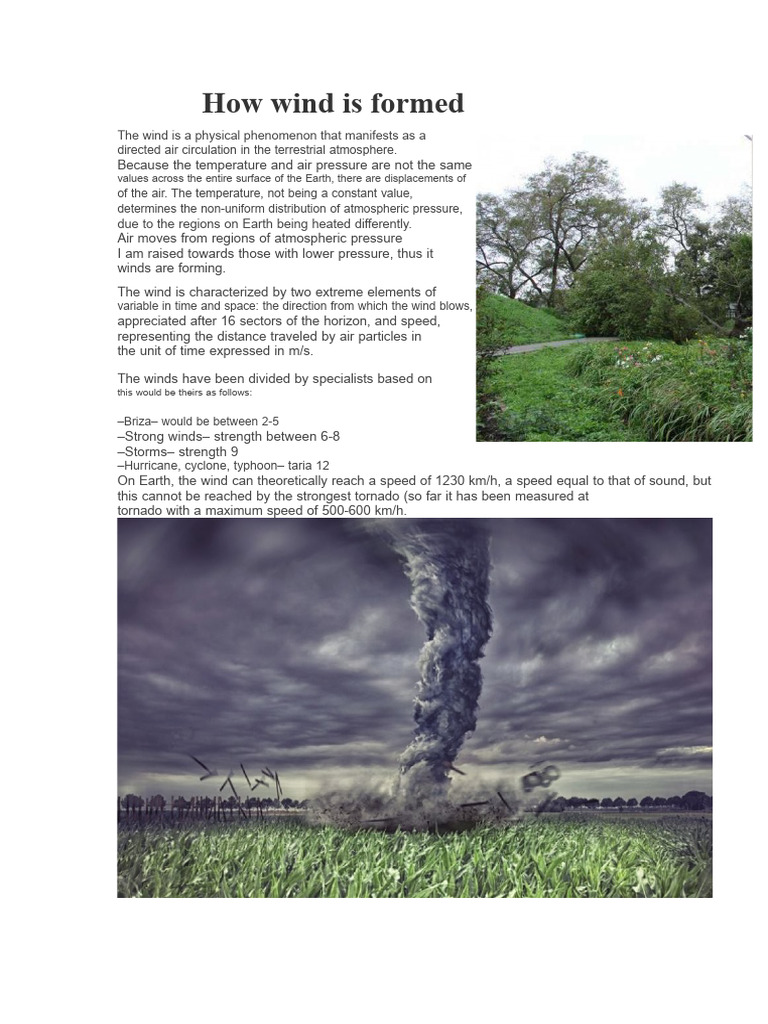 Wind Project | PDF | Wound | Tropical Cyclones