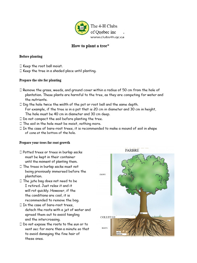 Tree Planting and Care Guide | PDF | Pruning | Trees