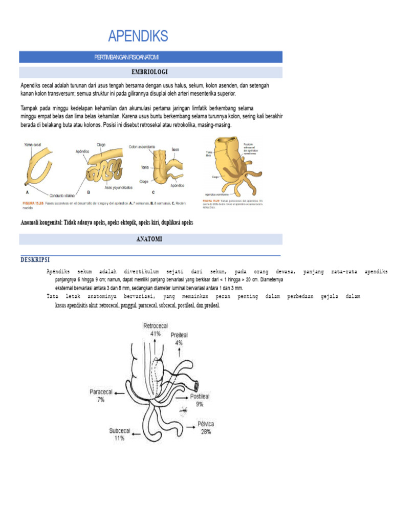 Apendiks: Anatomi dan Apendisitis Akut | PDF