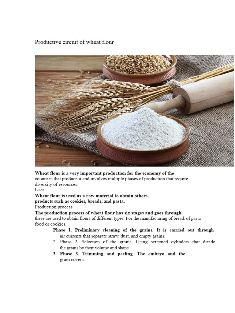 Wheat Flour Production Process Explained | PDF | Flour | Wheat
