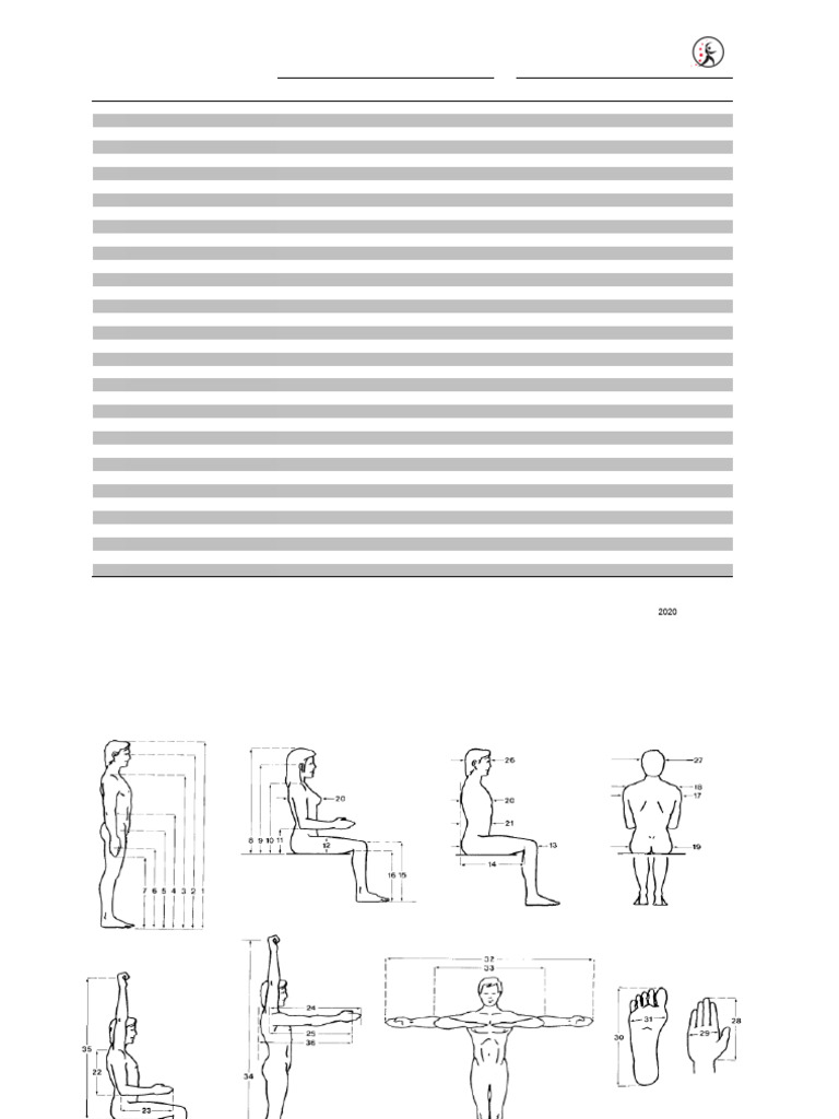 U.S. Adult Anthropometric Data Summary | PDF | Anthropometry | Length
