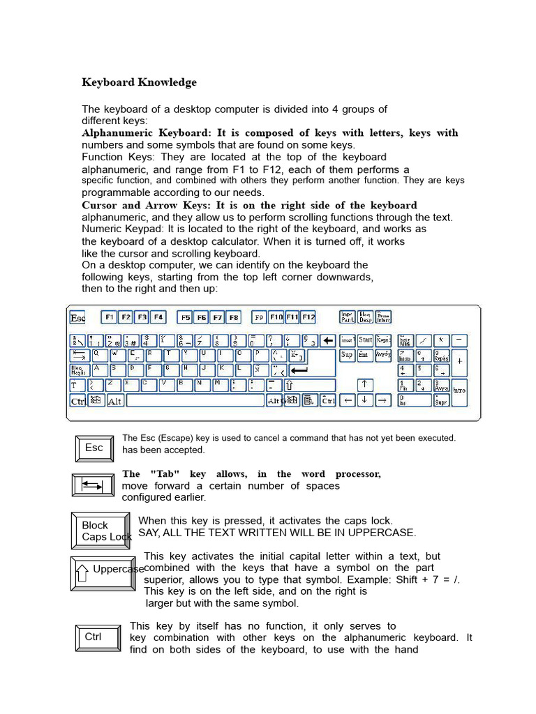 Keyboard Knowledge | PDF | Computer Keyboard | Text