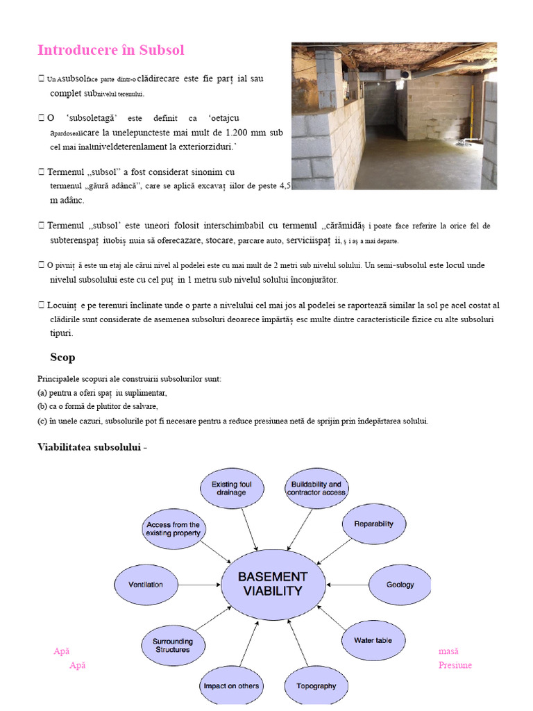 Introducere În Subsol: Viabilitatea Subsolului | PDF