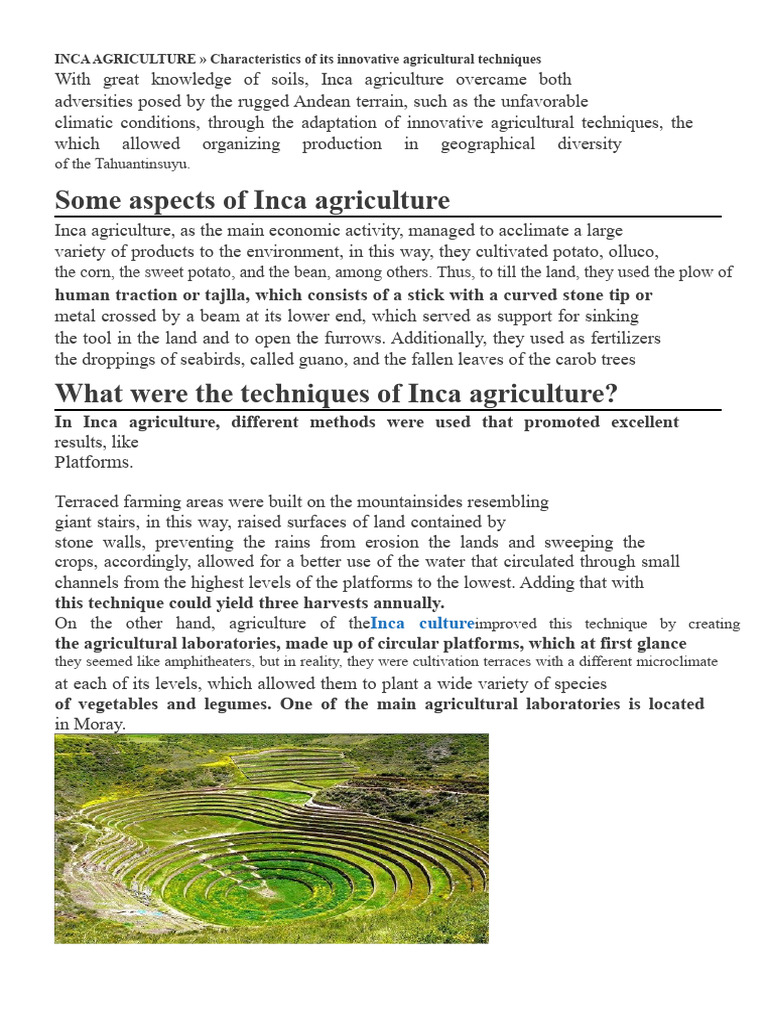 Inca Agriculture: Innovative Techniques Explained | PDF | Agriculture ...