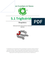 5.1 Triglicéridos