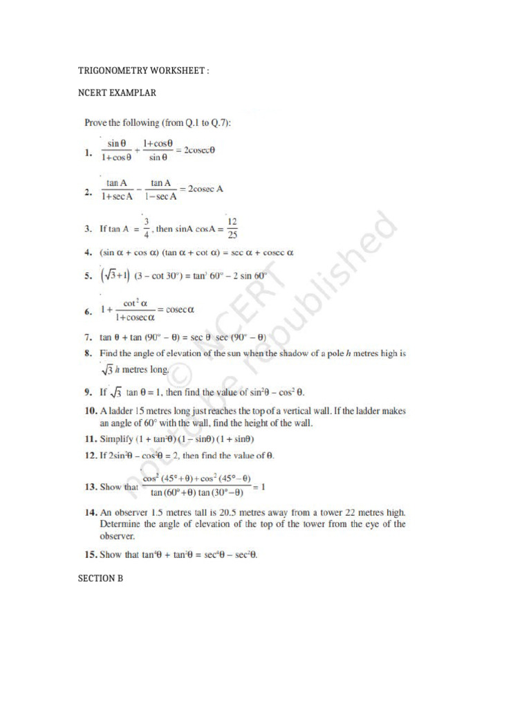 Trigonometry Questions Plain | PDF