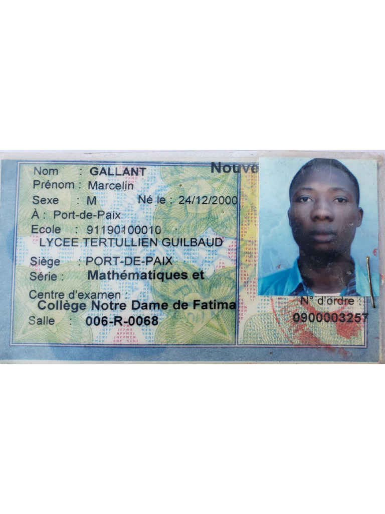 Avant Fiche Ns4 Gallant | PDF