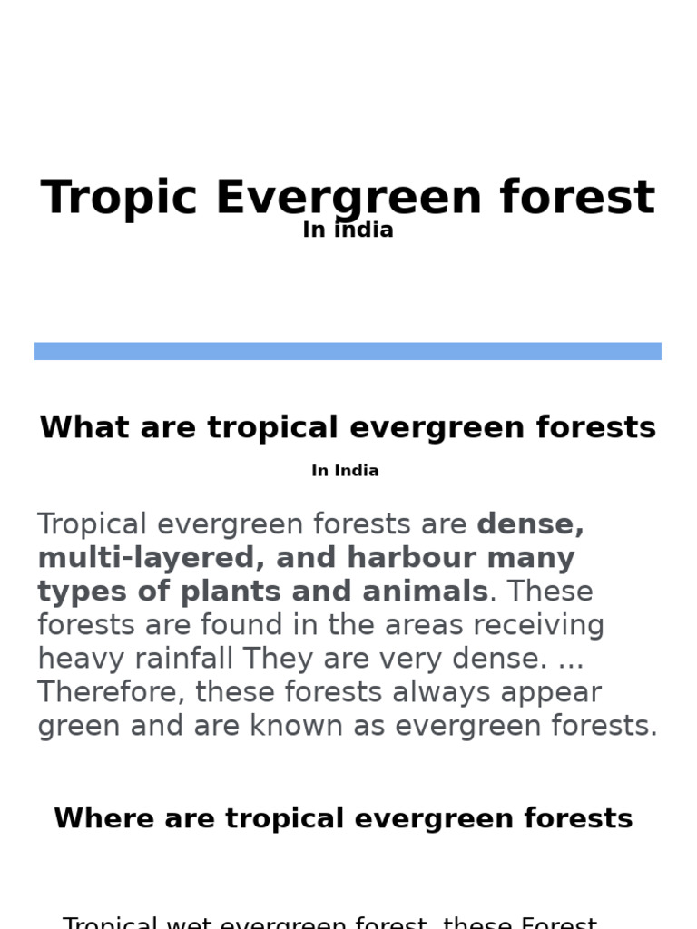 Tropical Evergreen Forests in India | PDF