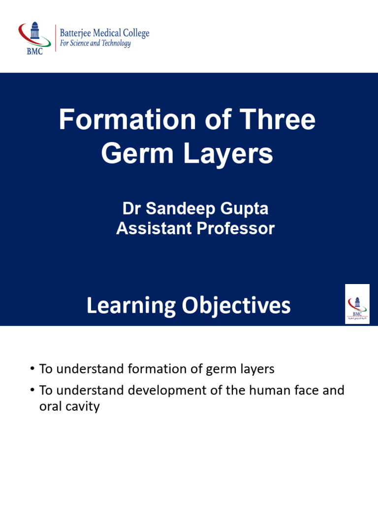 2 Formation of Three Germ Layers | PDF | Anatomy | Human Anatomy