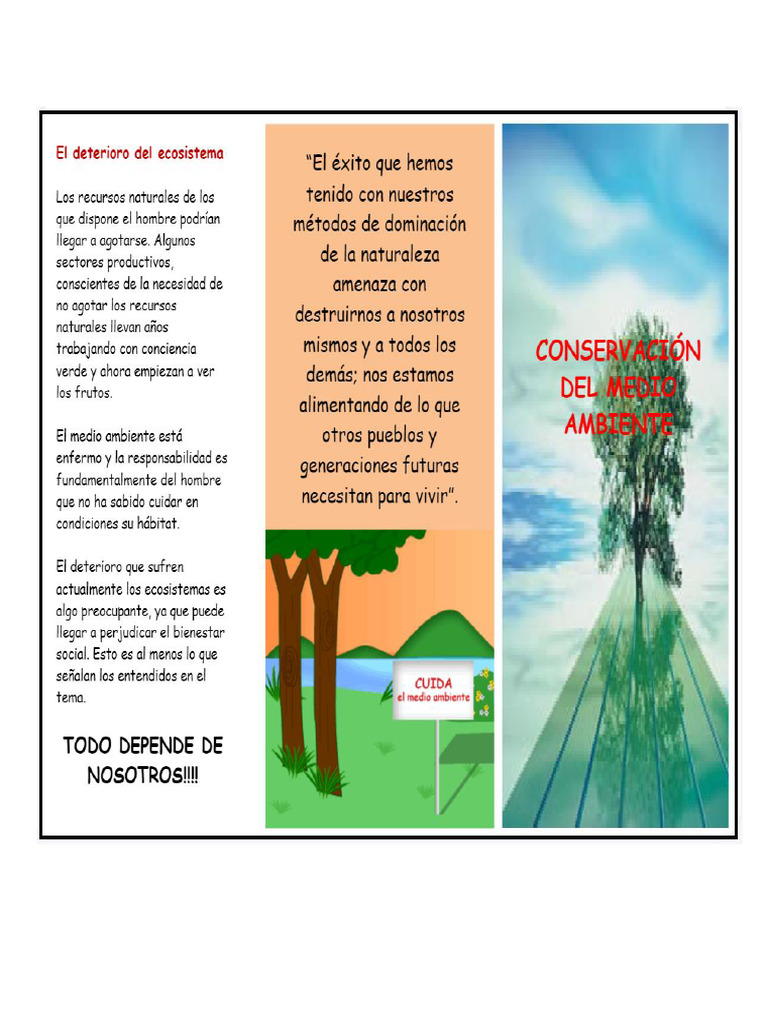 Ficha Triptico Cuidado Del Medio Ambiente | PDF