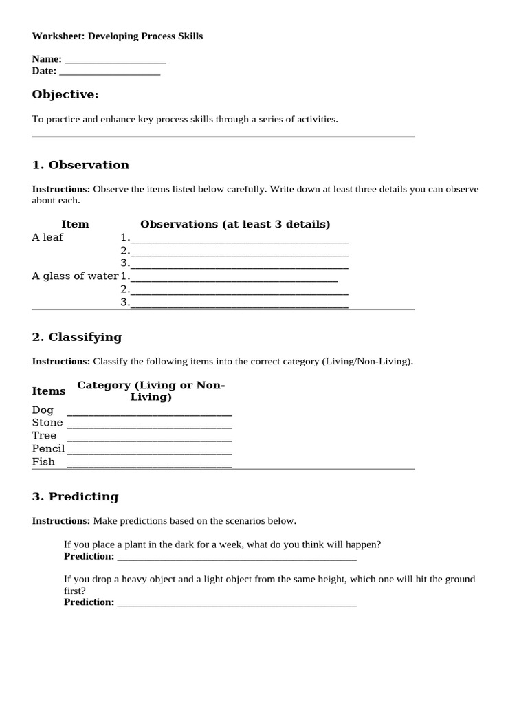 Process Skills Development Worksheet | PDF