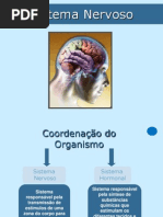 9.Ppt.s.nervoso.2