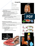 Ecografia: Examinarea În Modul 2D