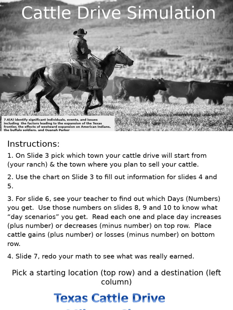 Cattle Drive Simulation | PDF | Cattle