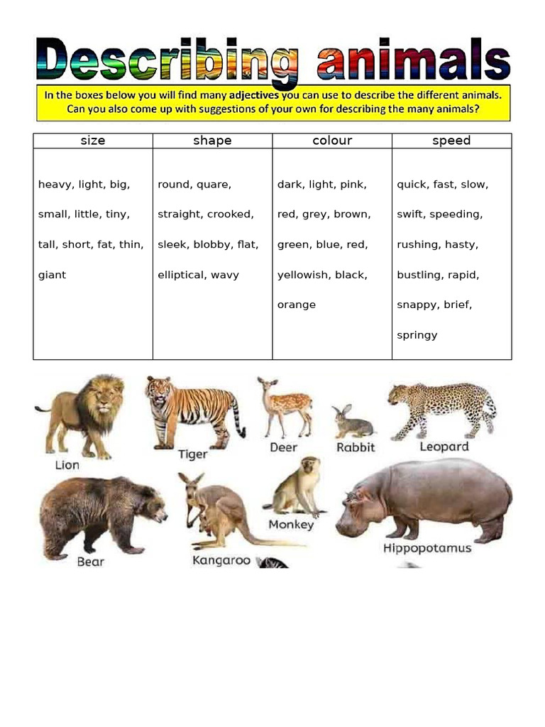 Descriptive Adjectives Guide | PDF