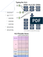Hla DR Typing