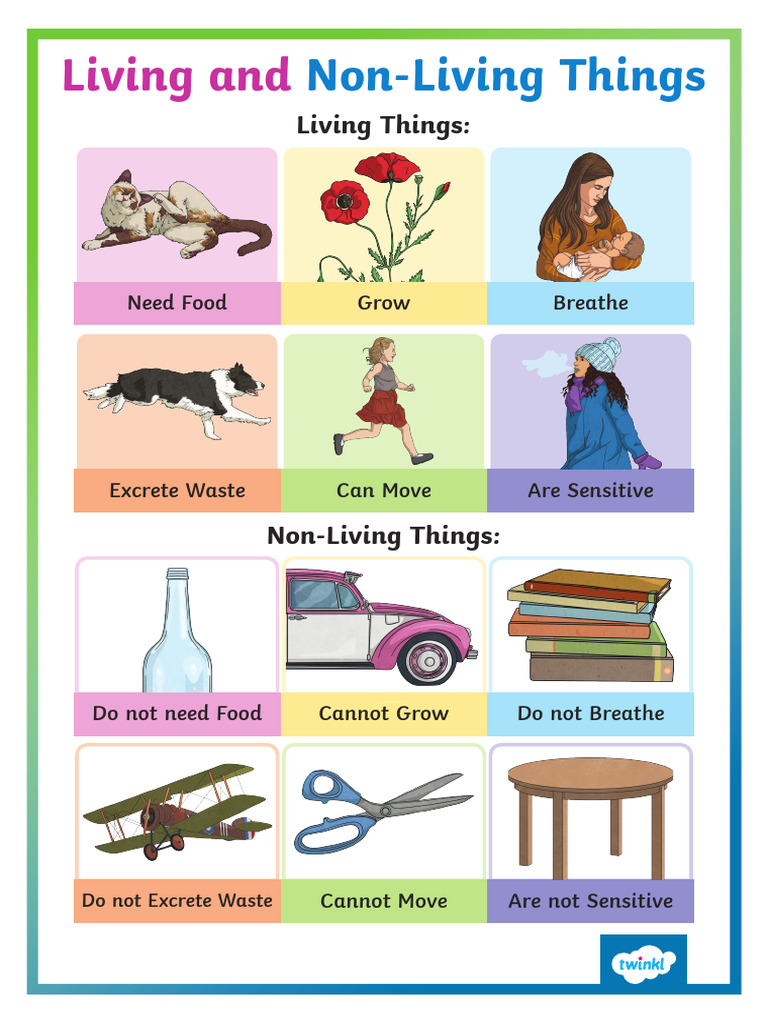 Living and Non Living Things Poster - A3 | PDF