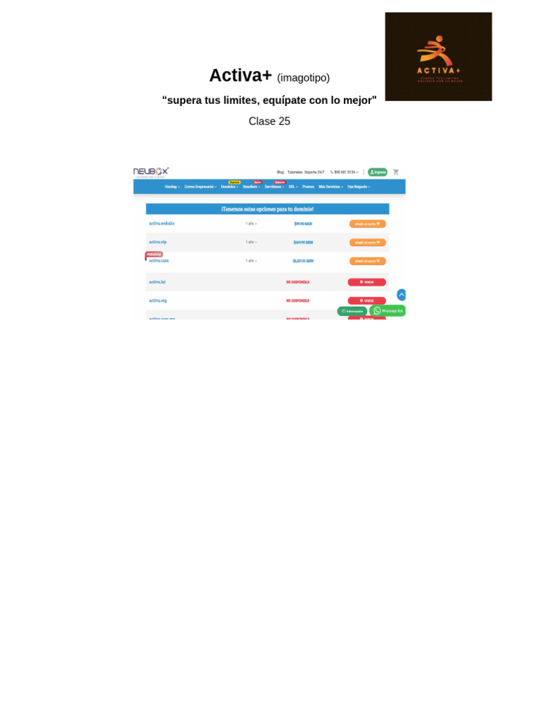Activa | PDF