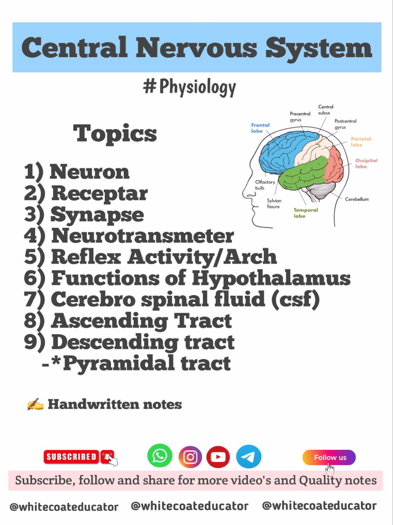 CNS Physiology Notes @wce | PDF