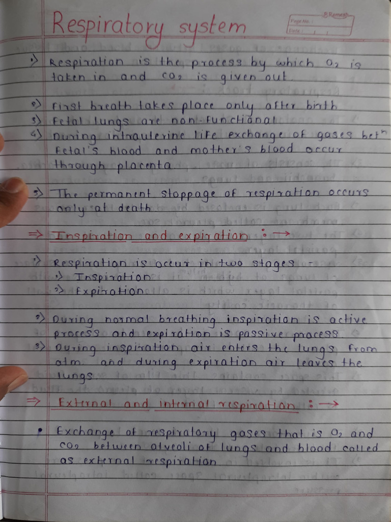 Respiration Notes Physiology | PDF