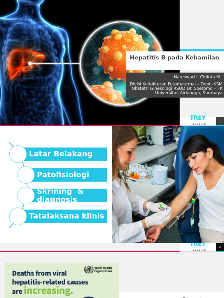 Hepatitis B Management in Pregnancy | PDF | Hepatitis B | Virology
