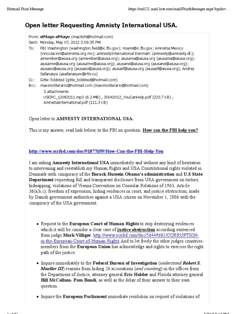Open Letter to Amnesty International USA | PDF | American Civil ...