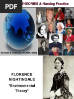 Download TFN Nursing Theories 2011-2012 by katlina SN92681003 doc pdf