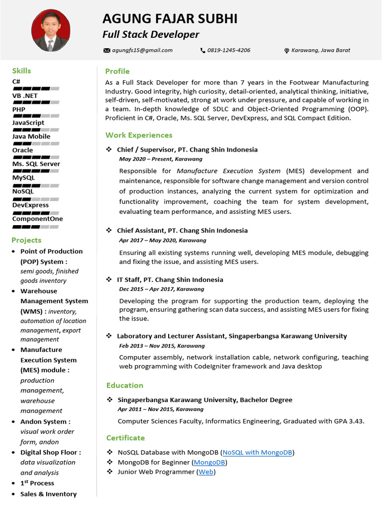 Experienced Full Stack Developer Profile | PDF | Software Development ...