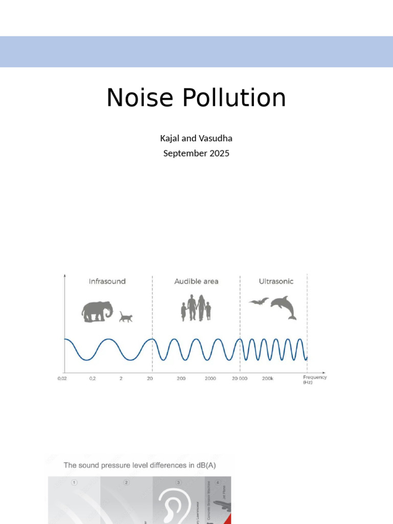 Understanding Noise Pollution Effects | PDF